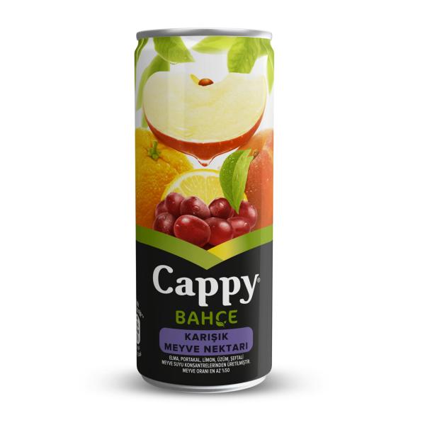 Cappy 250 Ml Karışık Meyve Nektari Kutu