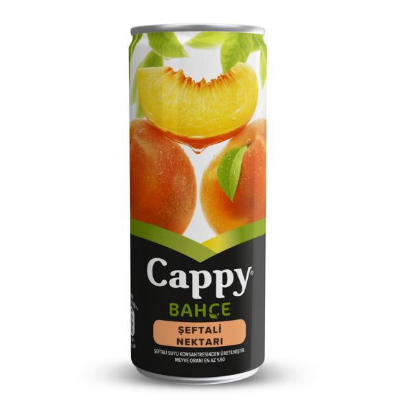 Cappy 250 Ml Şeftali  Kutu