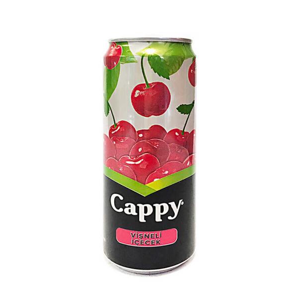 Cappy 250 Ml Vişne Kutu