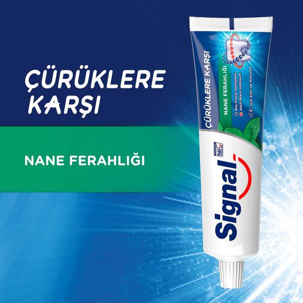 Signal Çürüklere Karşı Koruyucu Diş Macunu Nane Ferahlığı 50 ml